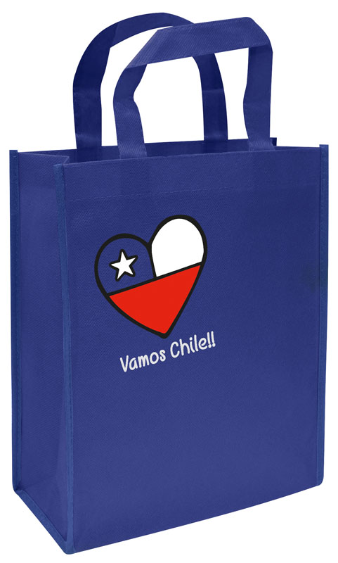 E33 Bolsa TNT